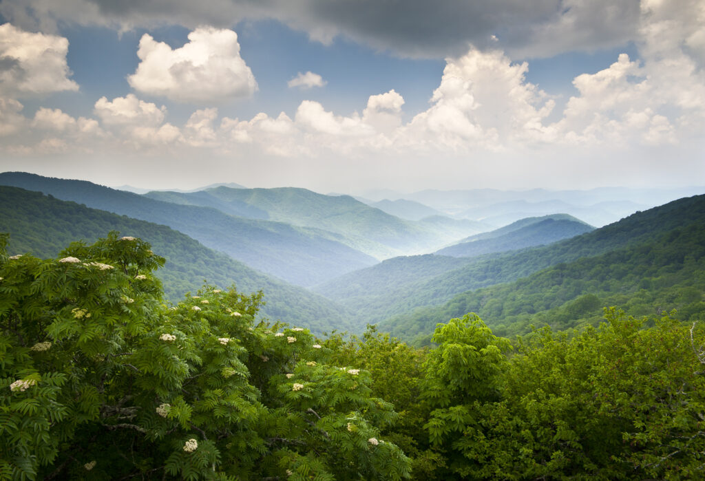 Little Switzerland Land for Sale, Green Mountain, NC, NC realty, NC realtors, NC real estate, Dream Mountain Realty, blue,ridge,parkway,scenic,mountains,overlook,summer,landscape,asheville,nc